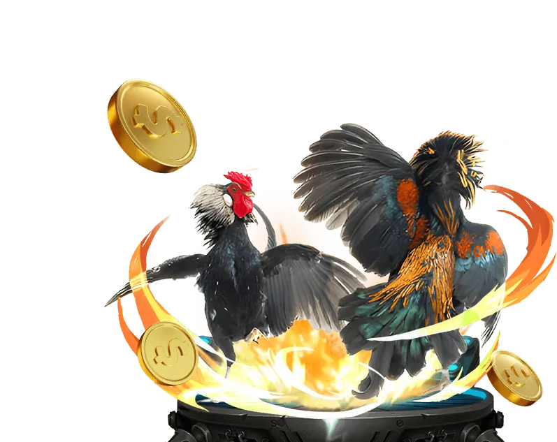 Đa dạng sản phẩm và dịch vụ cá cược tại 56wim04